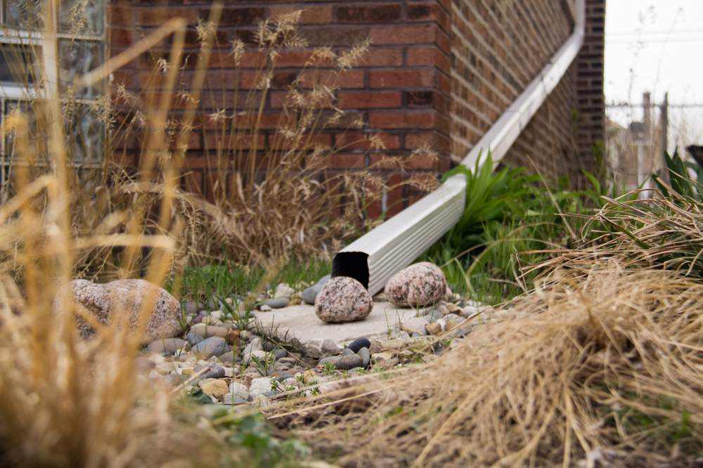 An extended downspout empties into Lori Burns' new rain garden to keep runoff away from her home's foundation.